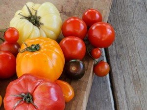 tomatoes_thumb