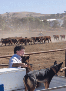 outback-country-travel