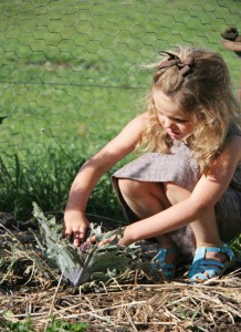 Garlic Farm