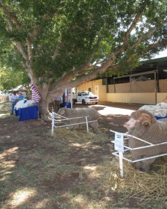 WESTECH FIELD DAY