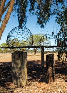 Outback garden