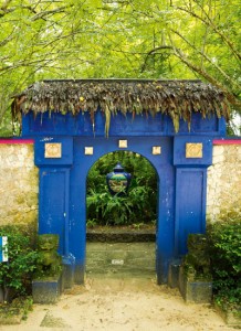 Tropical Vanuatu Garden