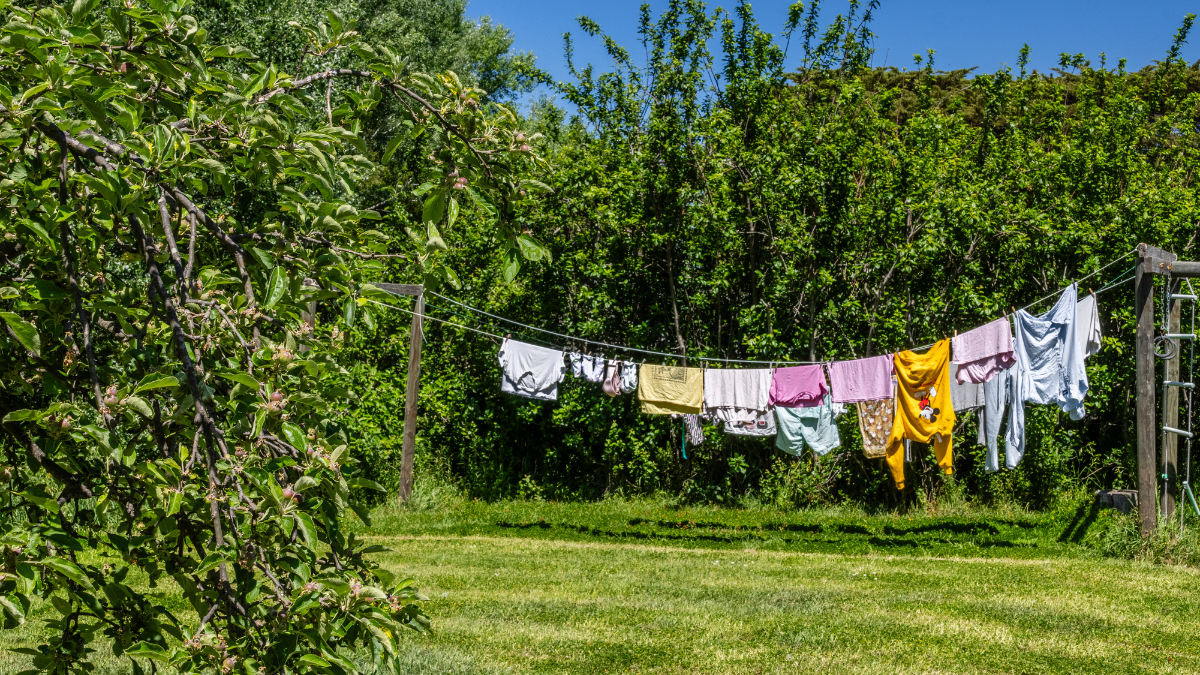 Green background with garden
