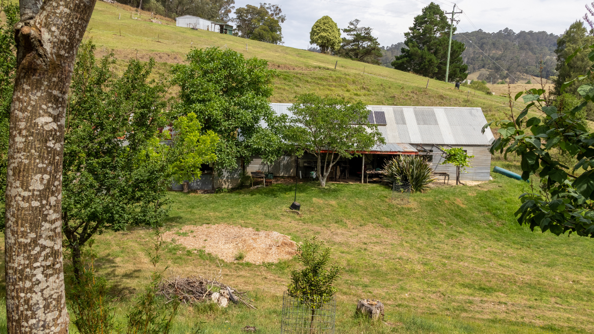 Outdoor land outback backyard