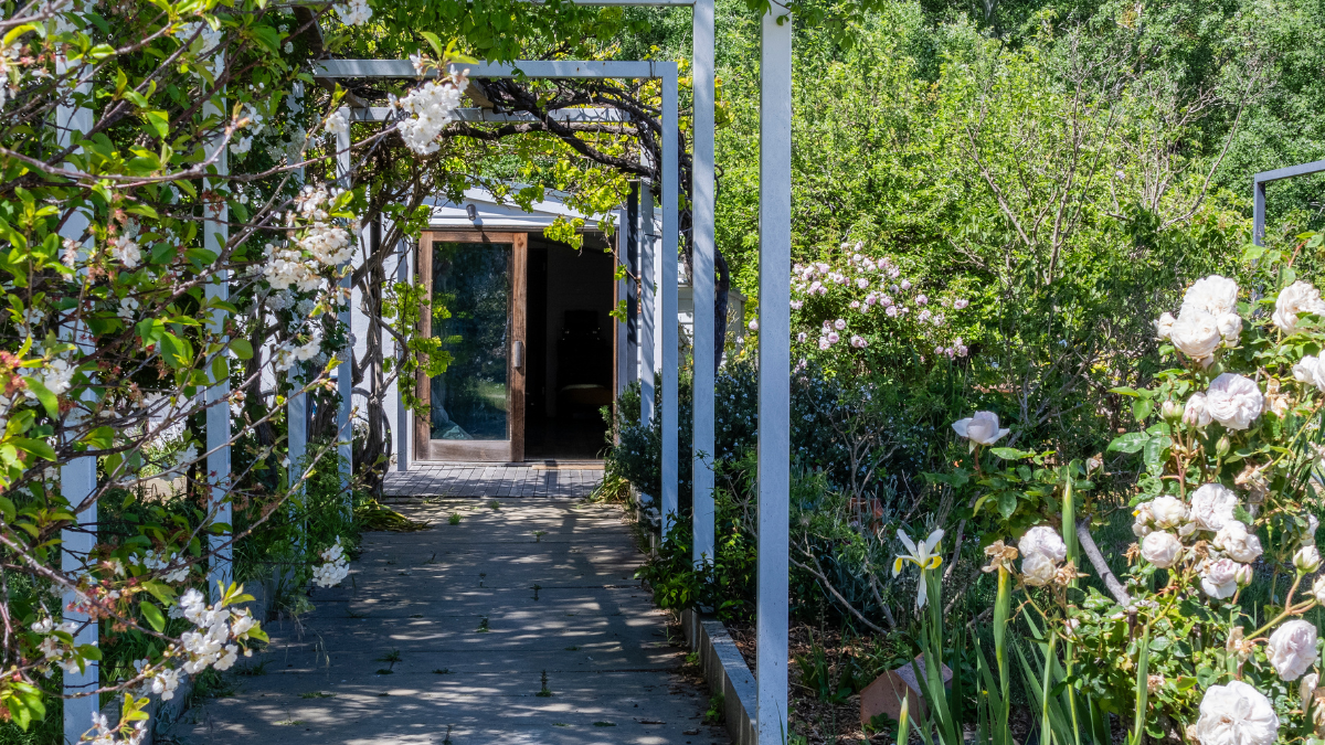 Garden walkway with flowers