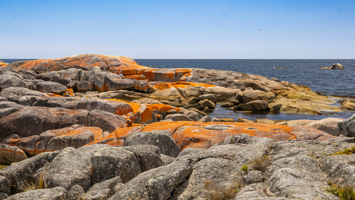 Rocks by the water