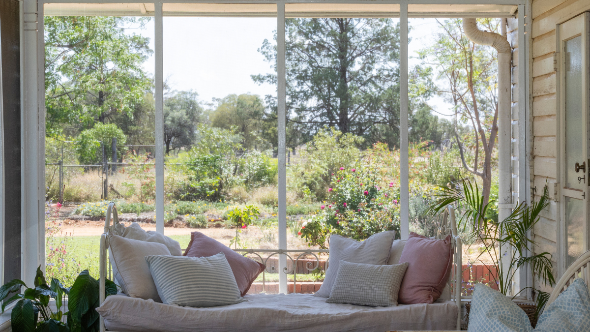 outback view with couch against window