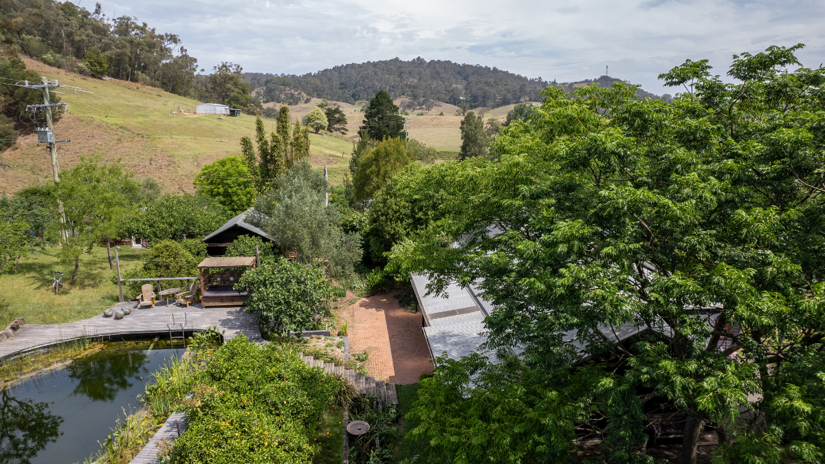 Green trees over house