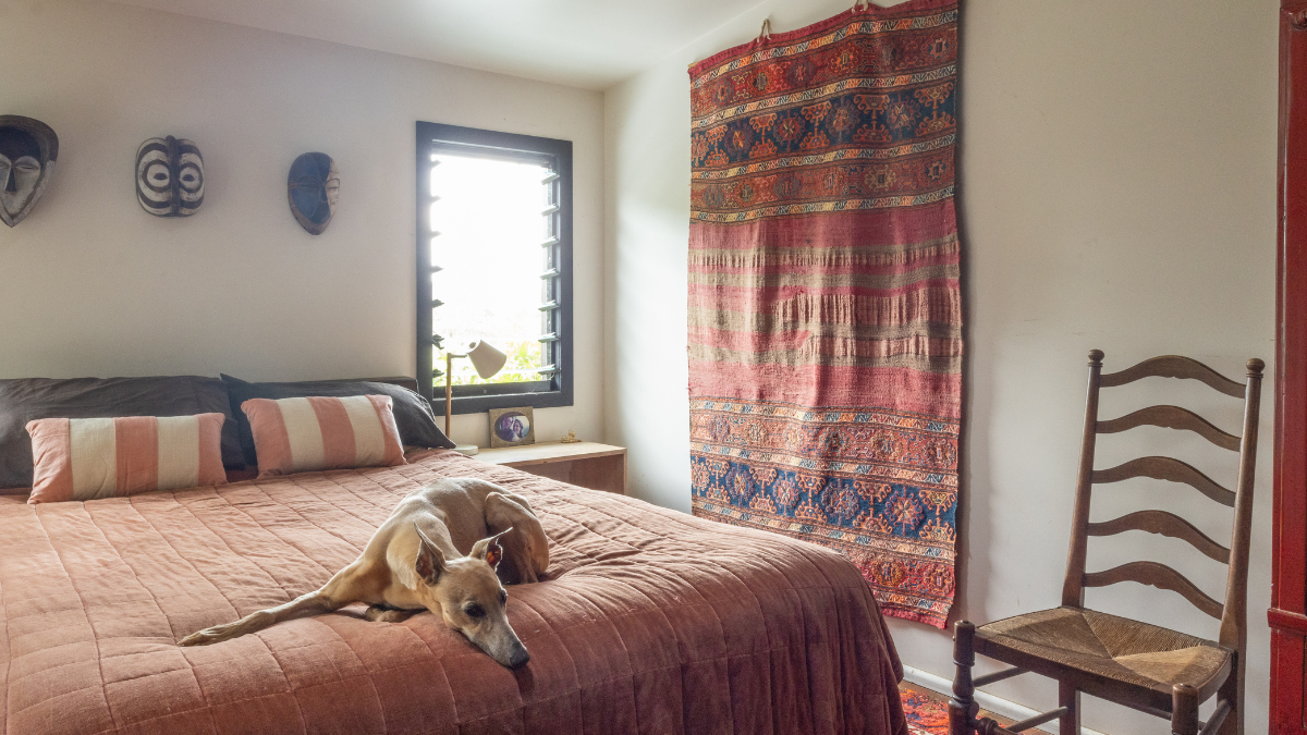 dog on country bed home